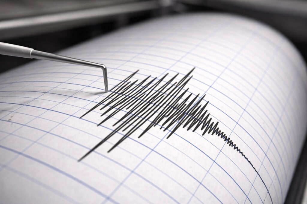 WhatsApp Image 2026 03 09 at 09.23.11