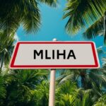 Accueil 5 La nuit de victoire tourne mal à Mliha