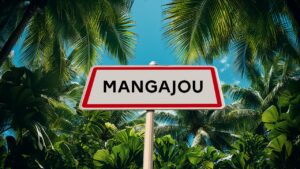 tension bureau de vote Mangajou altercation élections Sada Mayotte