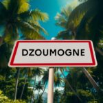 Nouveau cambriolage nocturne visant un commerce de Dzoumogné