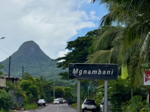 WhatsApp Image 2026 03 19 at 12.19.22