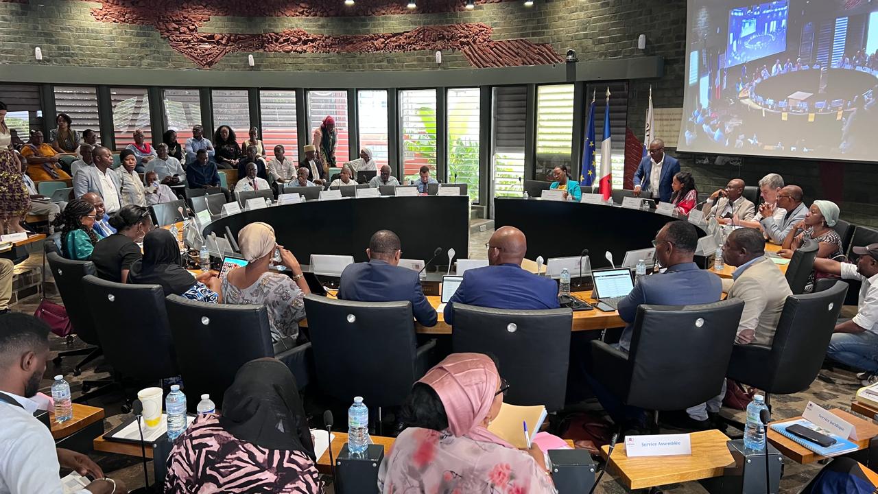 Le Césem donne son avis sur les dossiers actuellement examinés en séance plénière du Département-Région de Mayotte