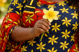 Accueil 17 joncquille