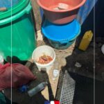 Fermeture administrative de deux établissements à Mamoudzou