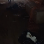 Accueil 1 Tsoundzou cherche à retrouver son calme