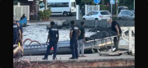 PHOTO 2026 04 17 17 59 24