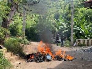 PHOTO 2026 04 19 08 41 55