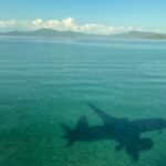 Billets d’avion : une mission contre la vie chère