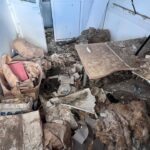 Des agents des services sociaux de l’Assemblée de Mayotte...