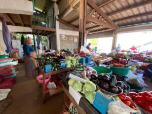 Projet de relance agricole durable à Mayotte avec un pôle de transformation agroalimentaire à Dembéni soutenu par le Département-Région pour renforcer la résilience alimentaire.