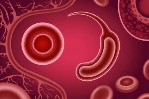 Accueil 21 WhatsApp Image 2026 04 14 at 04.46.37