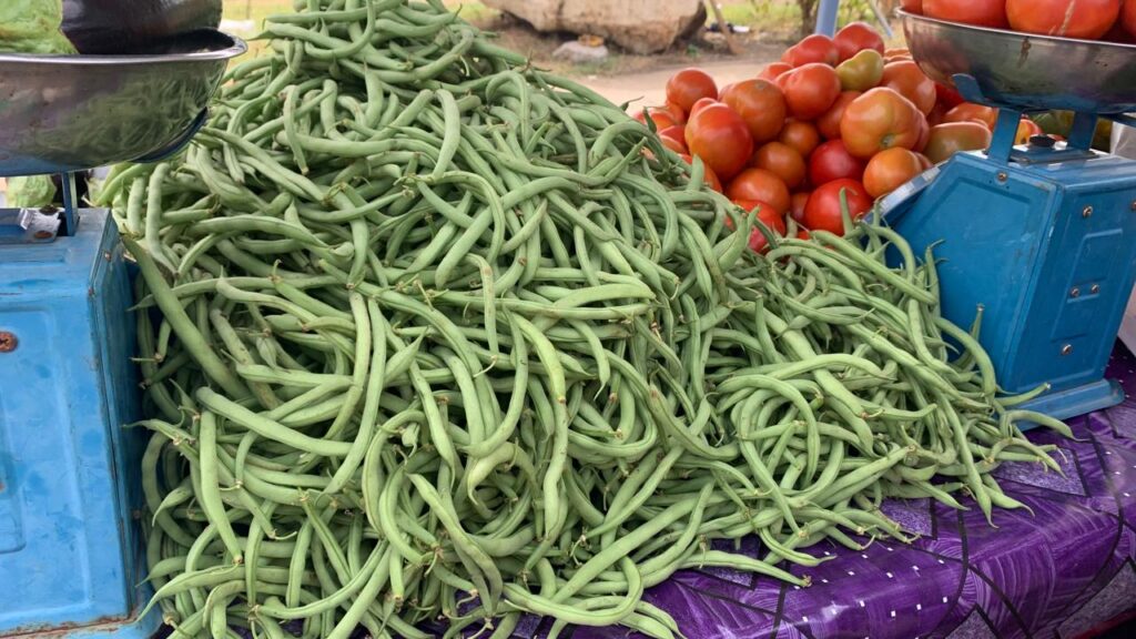 WhatsApp Image 2026 04 16 at 08.17.37