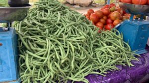 WhatsApp Image 2026 04 16 at 08.17.37