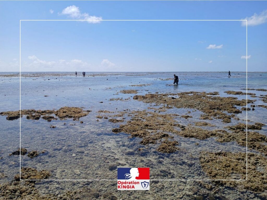 À Mayotte, les autorités renforcent les contrôles pour lutter contre la pêche illégale et préserver les écosystèmes marins.
