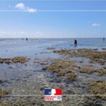 Des contrôles renforcés pour lutter contre la pêche illégale