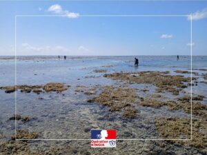 À Mayotte, les autorités renforcent les contrôles pour lutter contre la pêche illégale et préserver les écosystèmes marins.