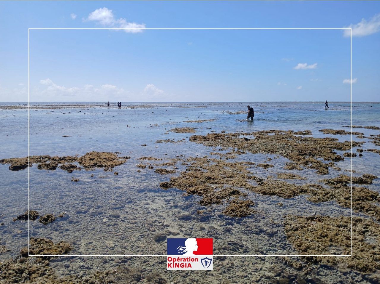 Des contrôles renforcés pour lutter contre la pêche illégale