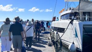 Accueil 21 Braconnage de tortues marines à Saziley à Mayotte malgré les actions de surveillance des Naturalistes de Mayotte