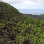La Fête de la Nature revient à Mayotte
