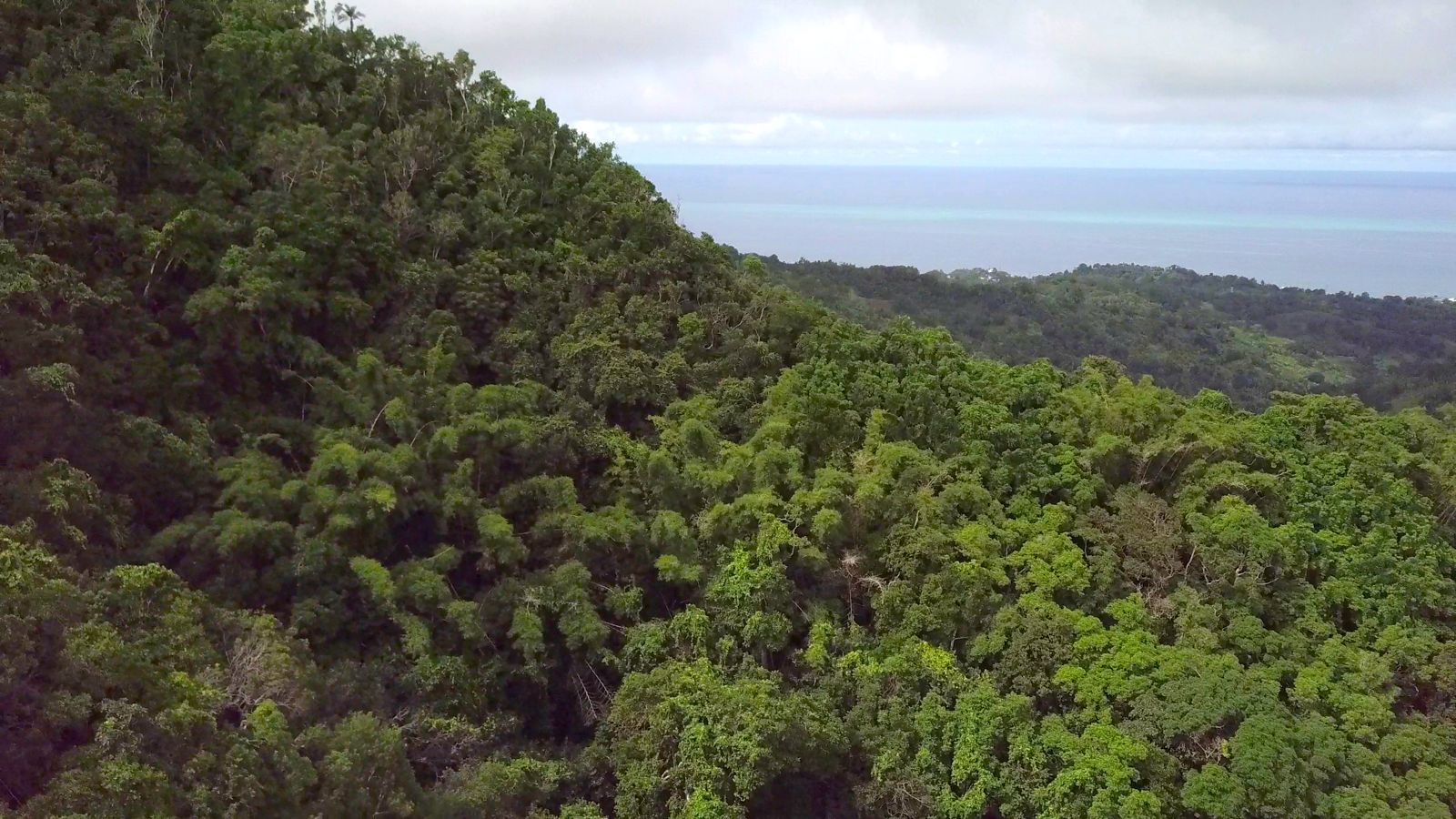La Fête de la Nature revient à Mayotte