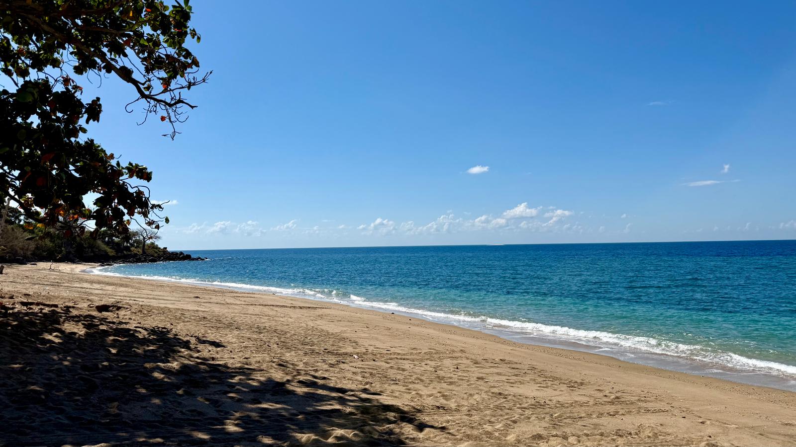 Mystérieuse arrivée sur la plage de Saziley
