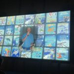 Accueil 8 Le festival international de l’image sous-marine enchante Mamoudzou