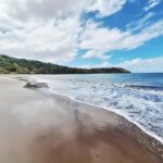 Accueil 6 Des idées de sorties à Mayotte du 14 au...