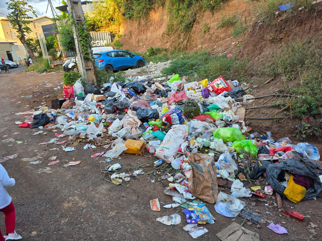 Des riverains dénoncent une rue abandonnée aux déchets