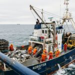 Esclaves de la mer ?
