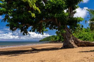 Accueil 17 Intervention des secours sur la plage de Tanaraki à Mtsangamouji après une altercation lors d’une sortie scolaire