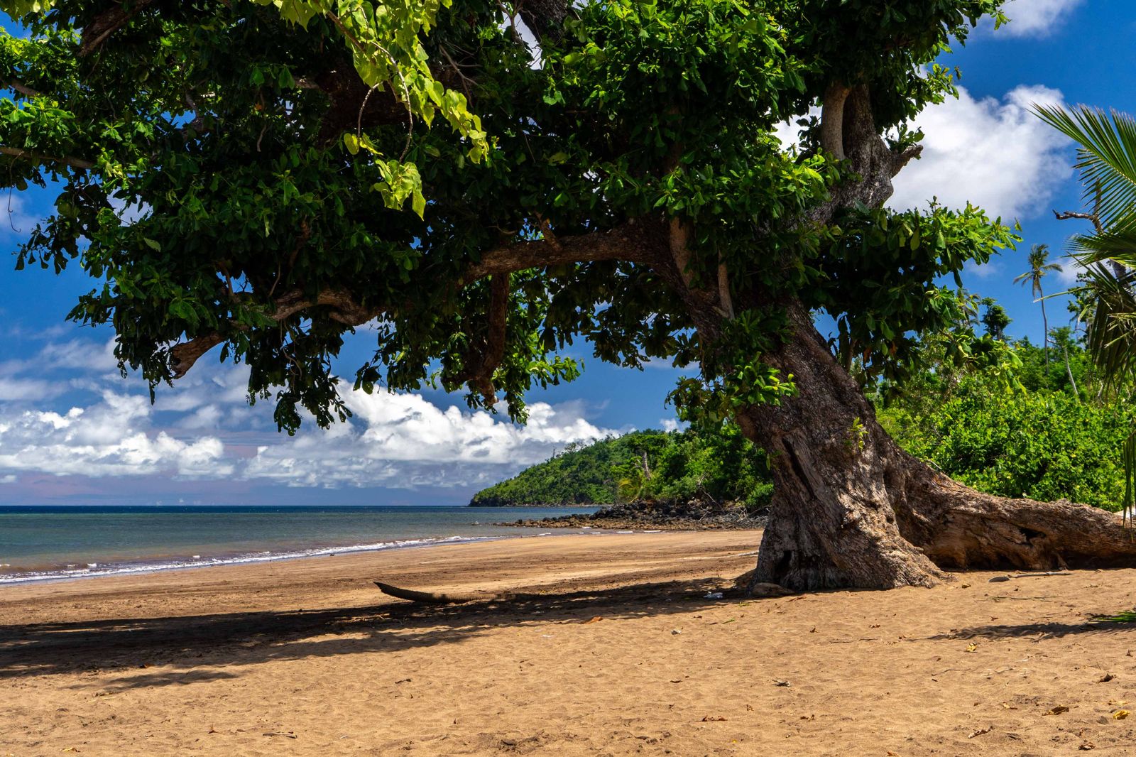 Tension sur la plage de Tanaraki lors d’une sortie scolaire