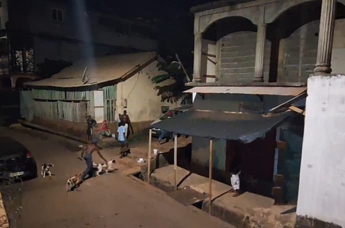 À Vahibé, des habitants dénoncent la présence de jeunes armés de machettes et accompagnés de chiens (vidéo)