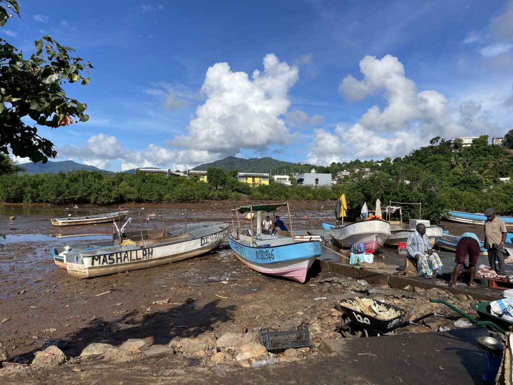 Mayotte veut renouveler sa flotte de pêche 9 IMG 0722