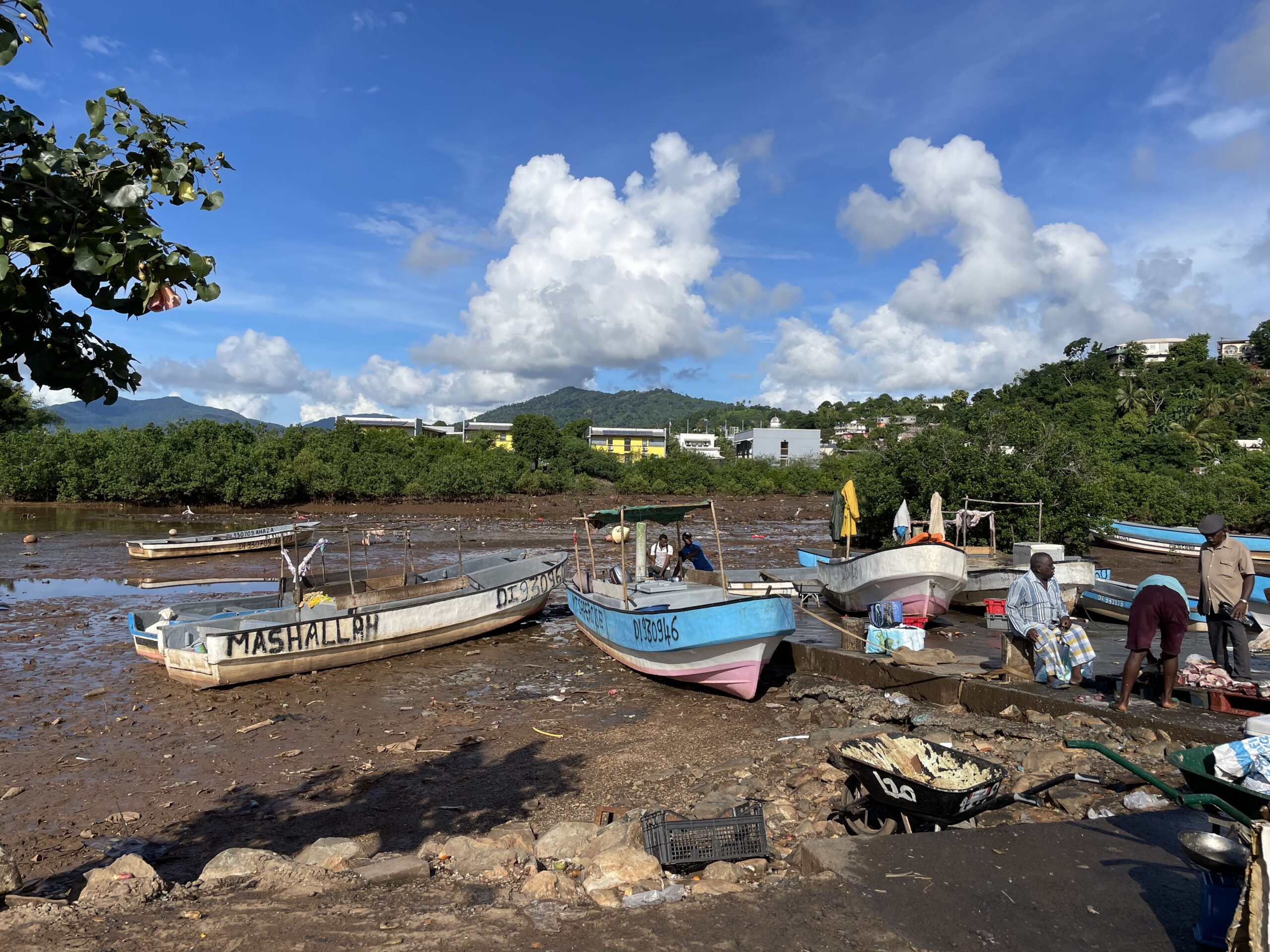 Mayotte veut renouveler sa flotte de pêche