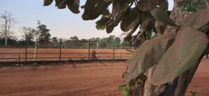 Accueil 19 Terrain de football à Mgnambani après une altercation violente ayant blessé un adolescent lors d'un match