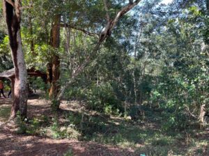 Accueil 17 Randonneurs au mont Choungui à Mayotte, site naturel touché par une agression visant plusieurs visiteurs