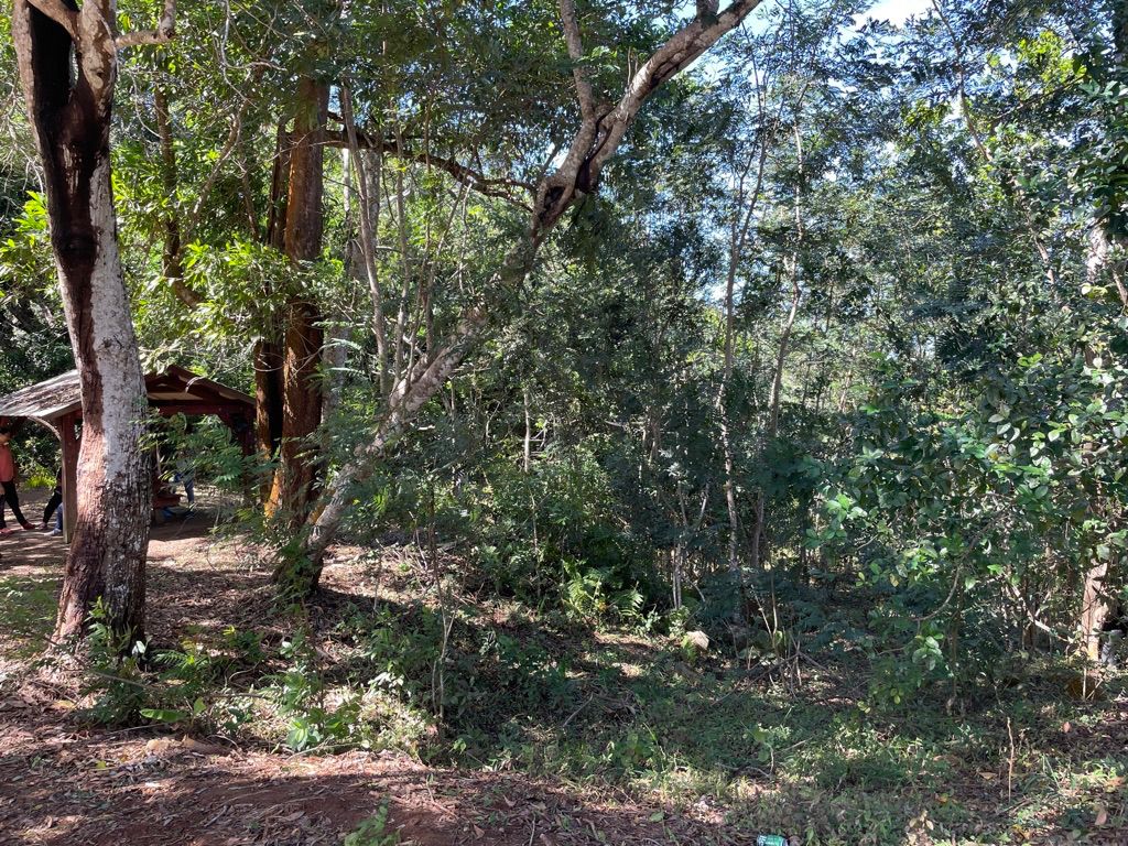 Plusieurs groupes de personnes attaqués au mont Choungui