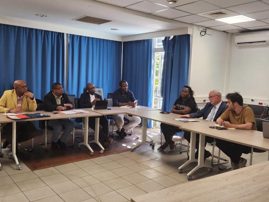 Le Département-Région veut renforcer l'accompagnement des jeunes à Mayotte 6 Réunion entre le Département-Région de Mayotte, la Mission locale et les acteurs de l’insertion pour renforcer l’accompagnement des jeunes Mahorais