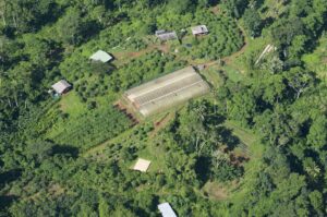 Accueil 117 Agriculteur mahorais utilisant du matériel agricole dans une exploitation de Mayotte dans le cadre d’un dispositif de soutien à la transition agroécologique