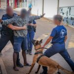 Accueil 6 Près de 70 policiers engagés dans une nouvelle opération...
