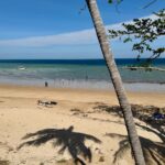 Accueil 1 La vigilance est levée sur la plage de N’Gouja