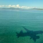 Air Austral change de ton avec les Austral Days