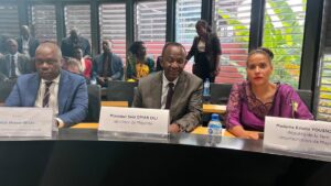Accueil 19 Projet de « rideau de fer » à Mayotte pour détecter et intercepter les kwassas