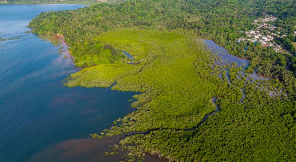 Mangrove de Dzoumogné-Longoni et îlots Choizil à Mayotte