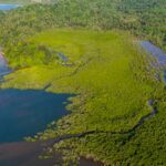 Accueil 6 Le Grand Nord prend en main mangrove et îlots
