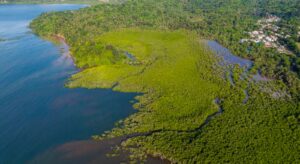 Accueil 25 Mangrove de Dzoumogné-Longoni et îlots Choizil à Mayotte