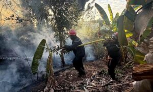 Accueil 19 Incendie de végétation à Majiméouni menaçant la forêt de Caroni à Mayotte
