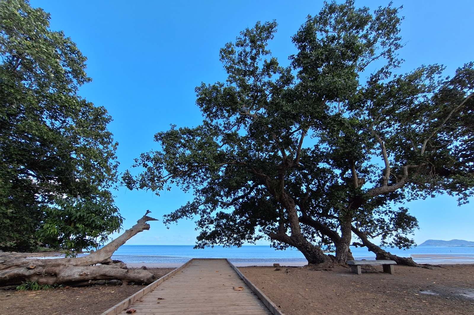 Les Naturalistes de Mayotte célèbrent le patrimoine naturel à l’occasion des Journées européennes