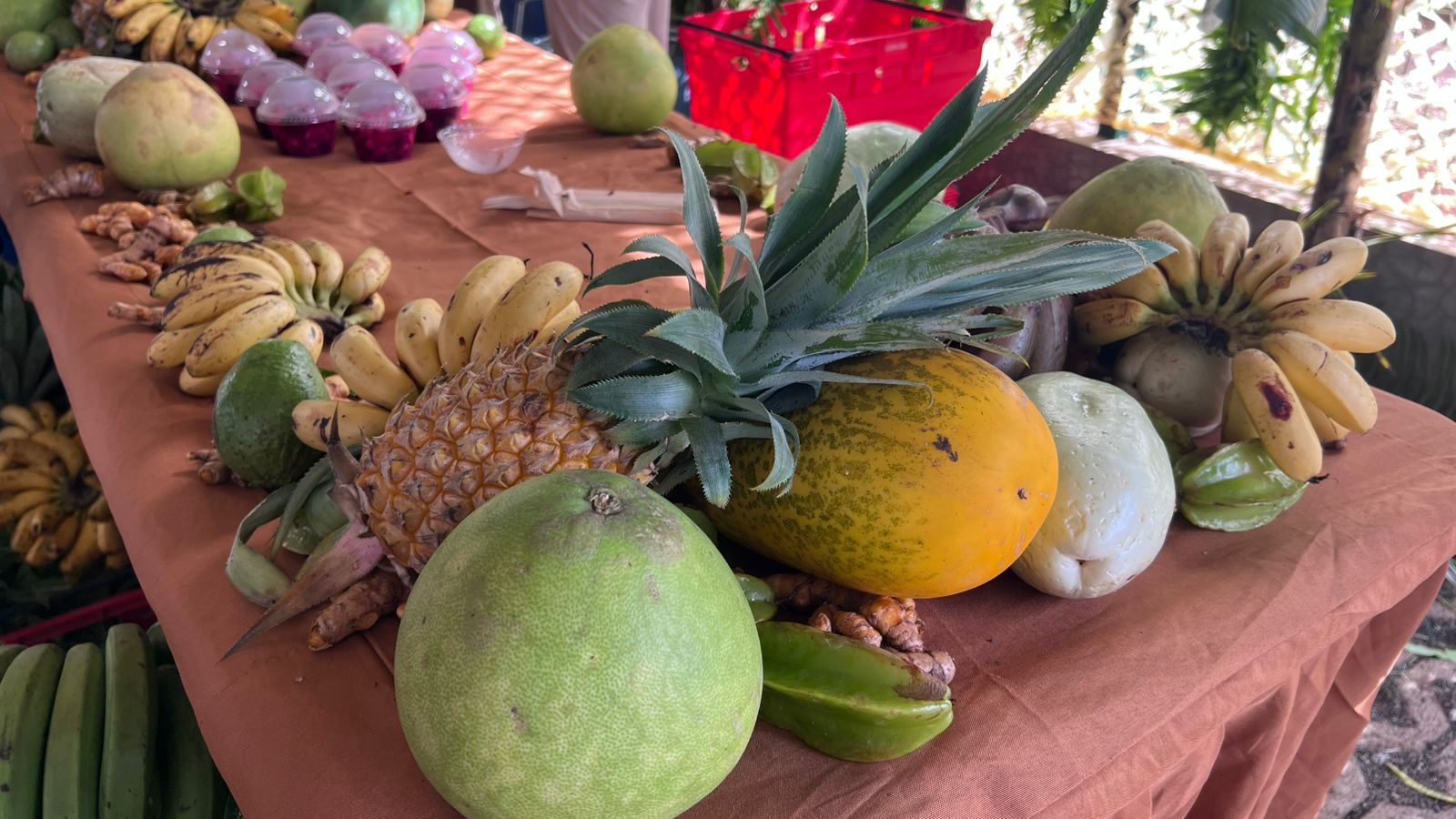 À Coconi, le Village Papam célèbre ce samedi le patrimoine agricole et les savoir-faire mahorais