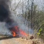 Accueil 3 Vahibé toujours sous tension, plusieurs incendies touchent la végétation...